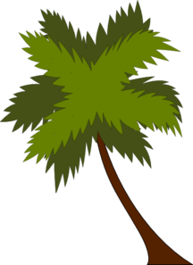 palm-tree-md