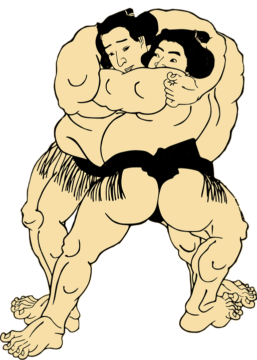 sumo-156787_960_720