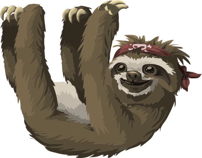 sloth