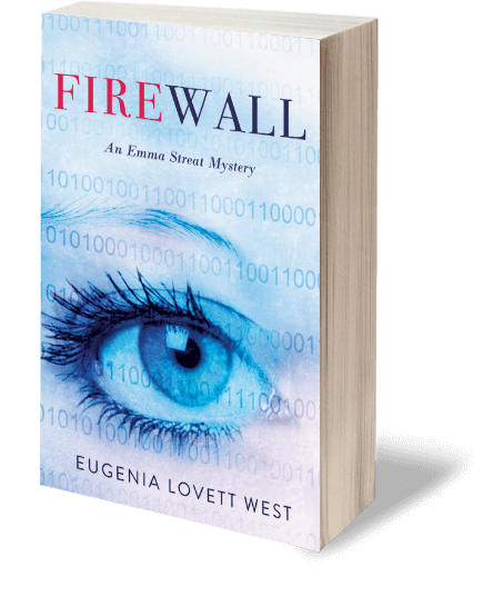 Firewall book image at angle