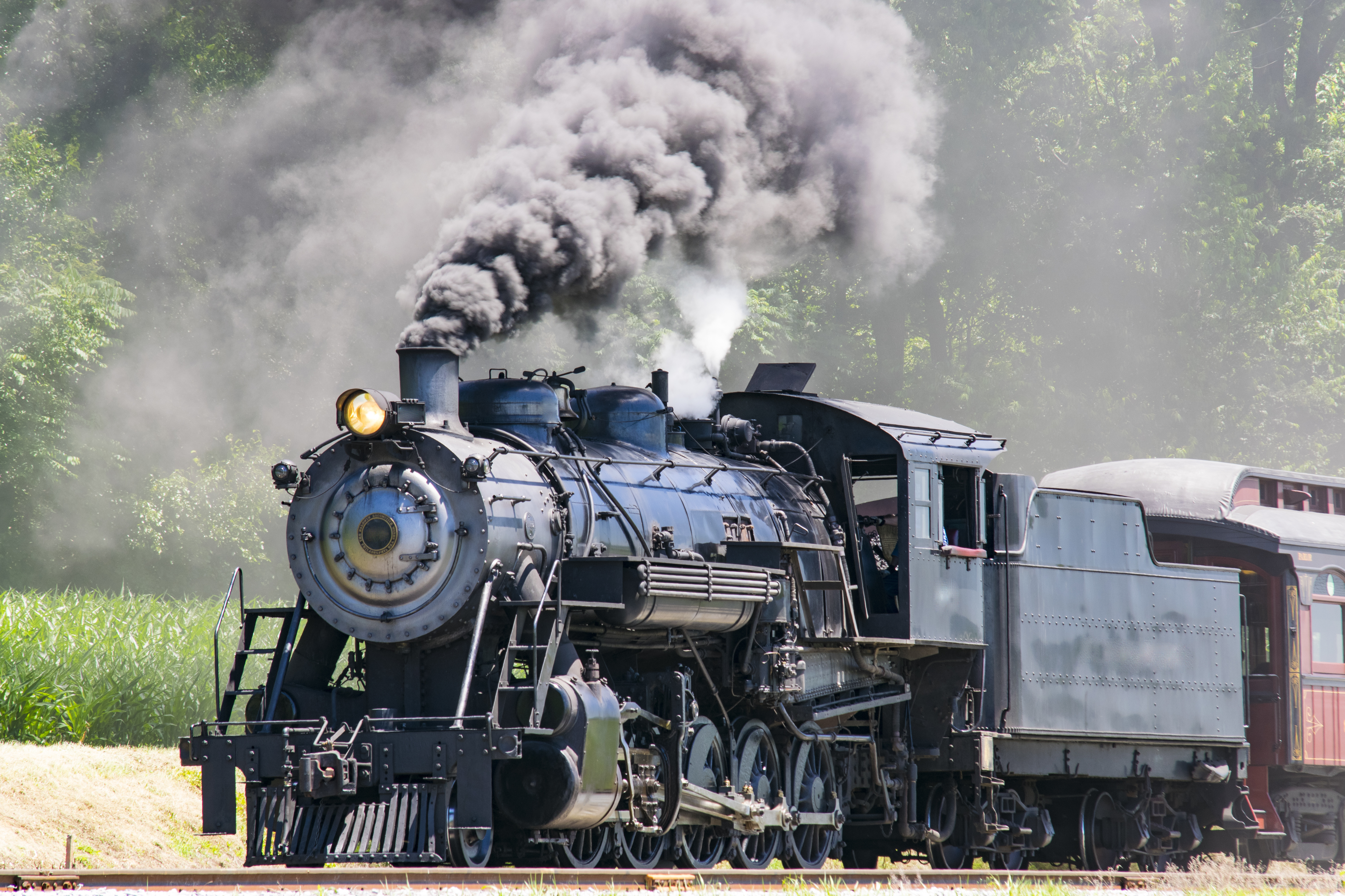 Steam Passenger Train Pulling into Picnic Area
