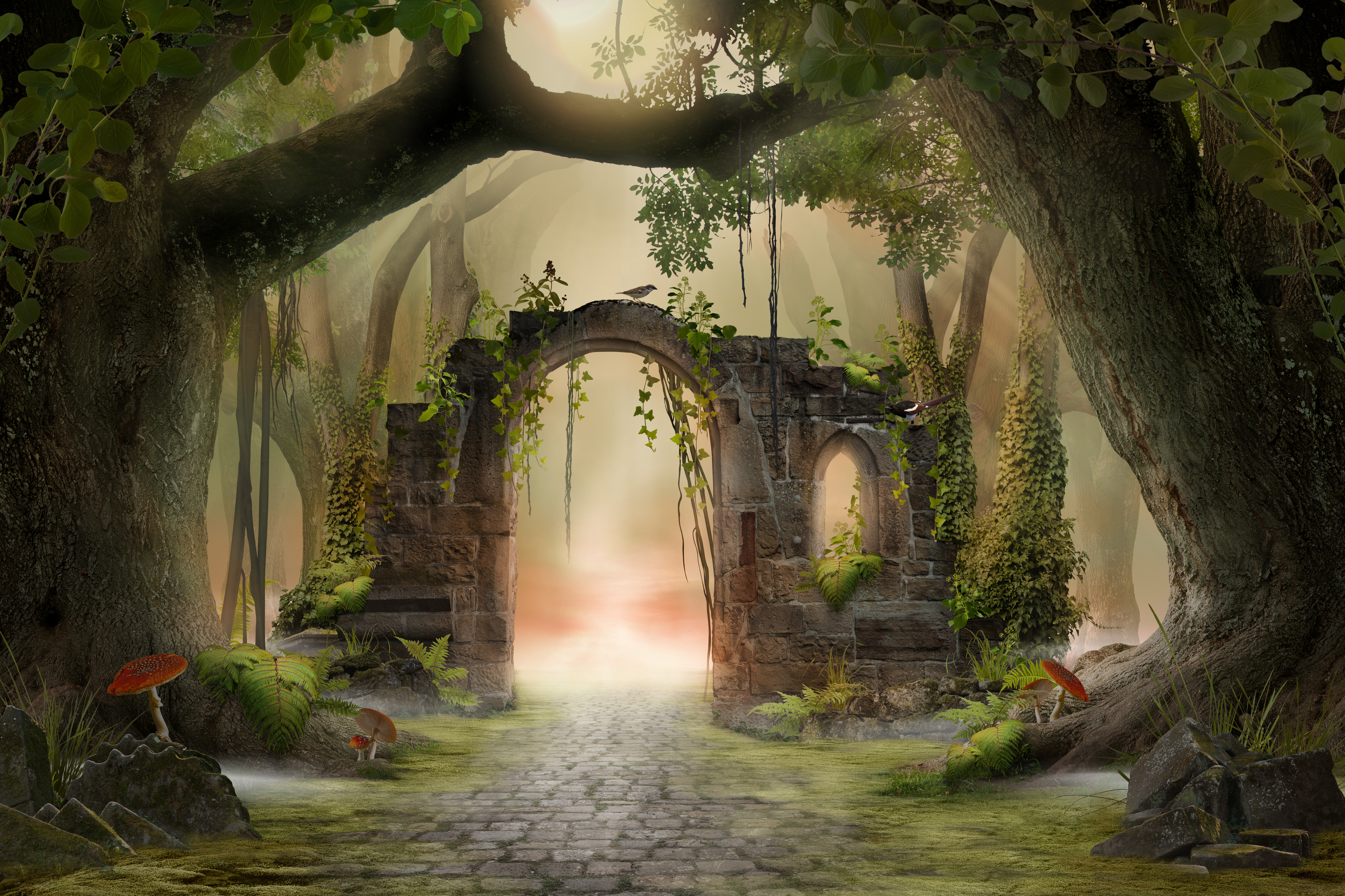 Archway in an enchanted fairy forest landscape, misty dark mood, can be used as background